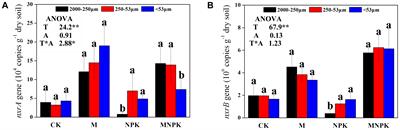 Nitrite-Oxidizing Bacteria Community Composition and Diversity Are Influenced by Fertilizer Regimes, but Are Independent of the Soil Aggregate in Acidic Subtropical Red Soil